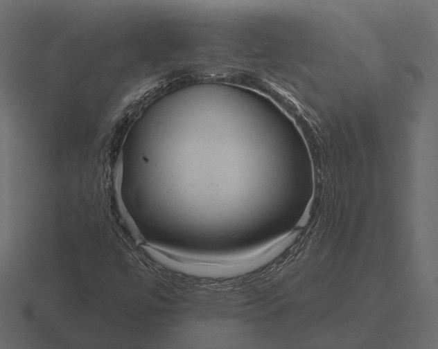 X0000116551447200912241546