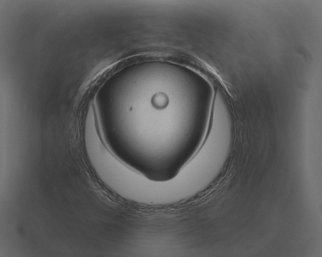 X0000116551448200912241546