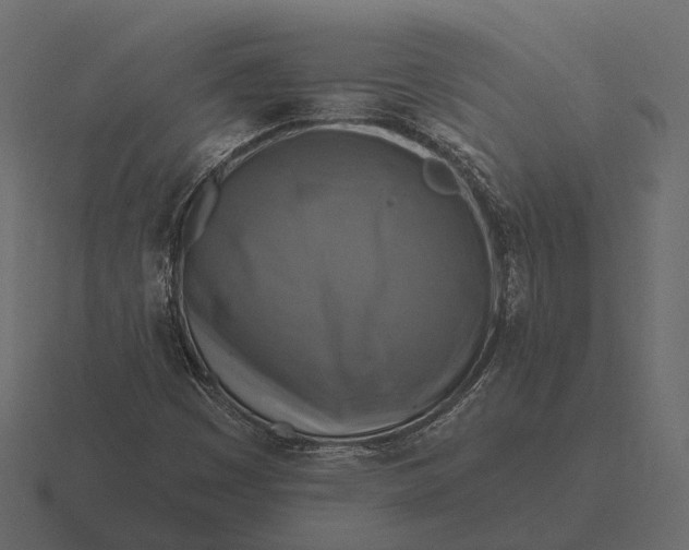 X0000116551449200912241546