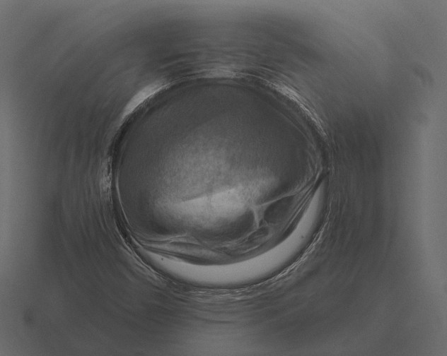 X0000116551450200912241546