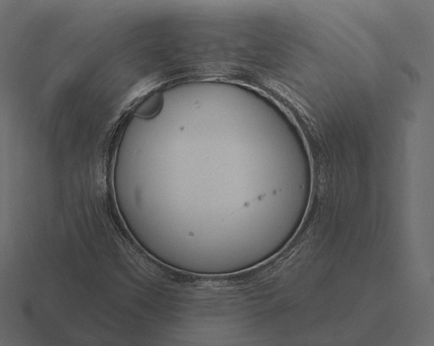 X0000116551451200912241546