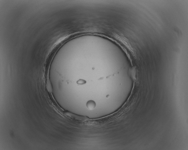 X0000116551452200912241546