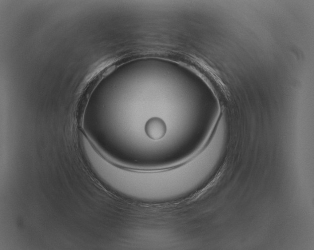 X0000116551453200912241546