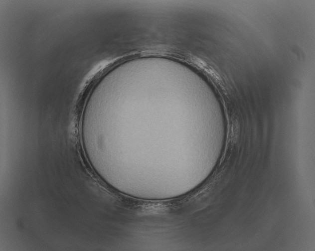 X0000116551454200912241546