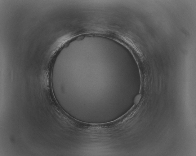 X0000116551455200912241546