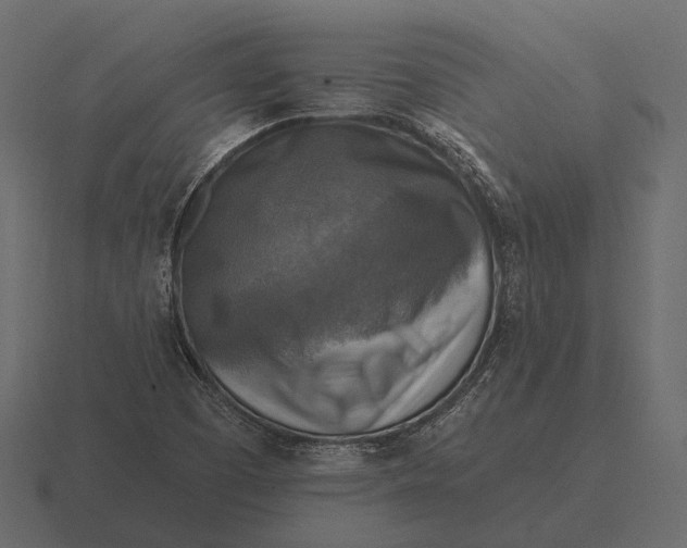 X0000116551457200912241546