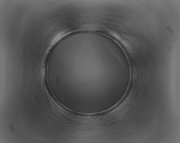 X0000116551459200912241546