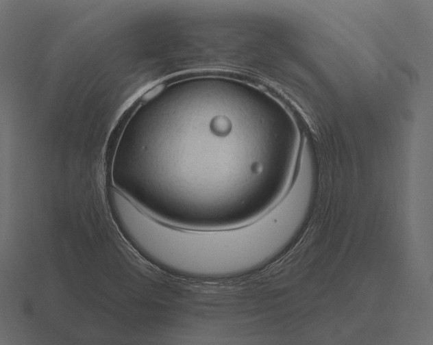 X0000116551460200912241546