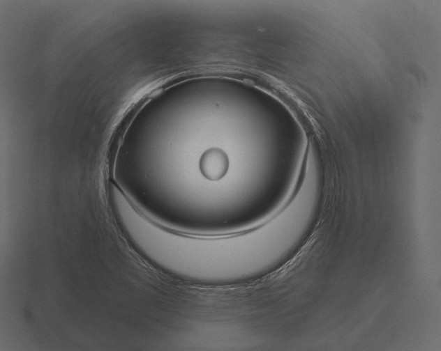 X0000116551461200912241546