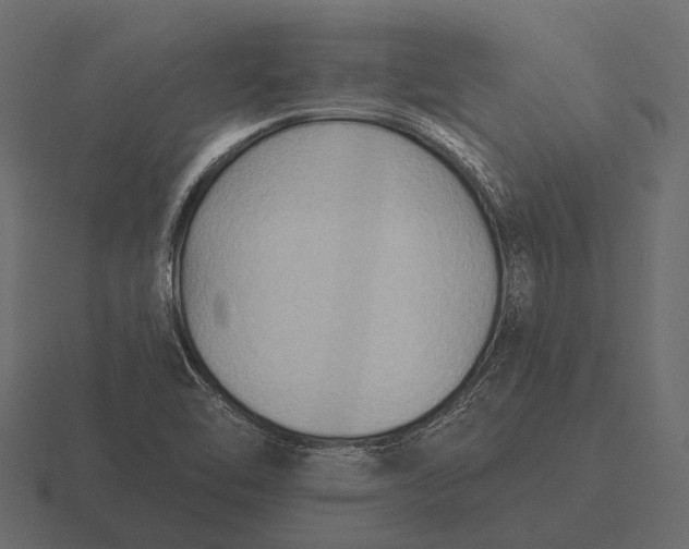 X0000116551462200912241546