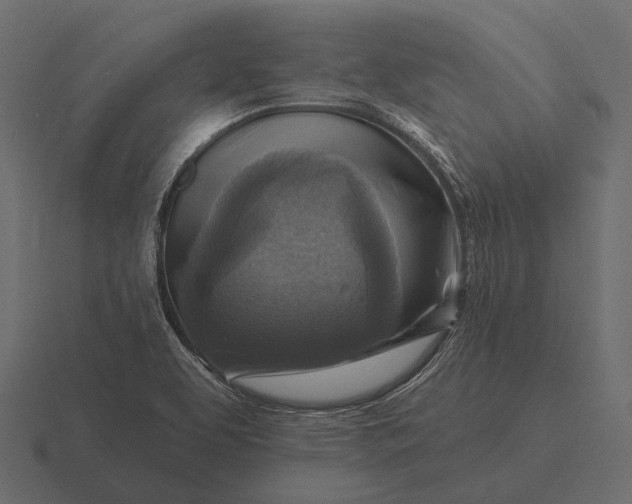 X0000116551463200912241546