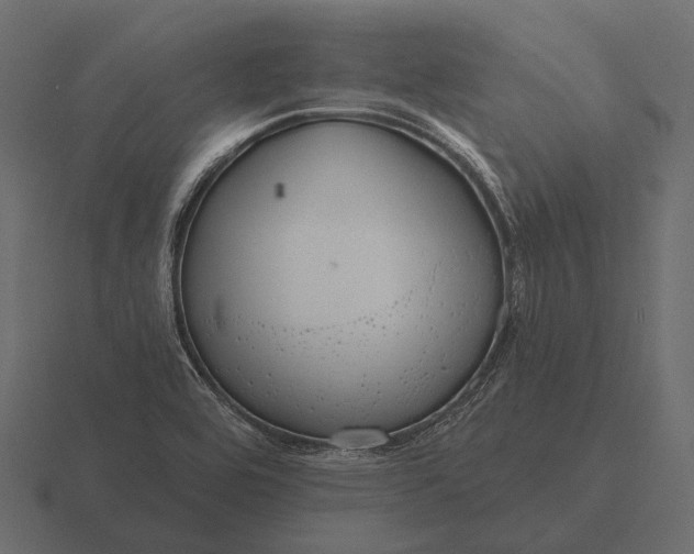 X0000116551464200912241546