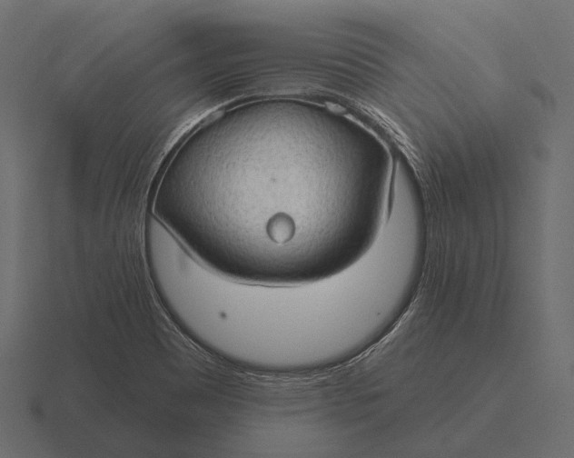 X0000116551465200912241546