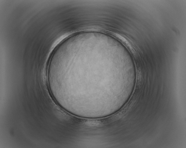 X0000116551466200912241546