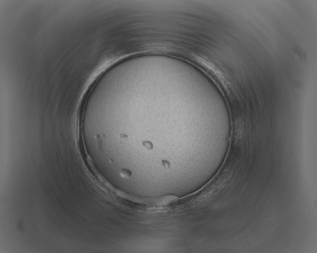 X0000116551467200912241546