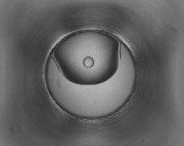 X0000116551468200912241546