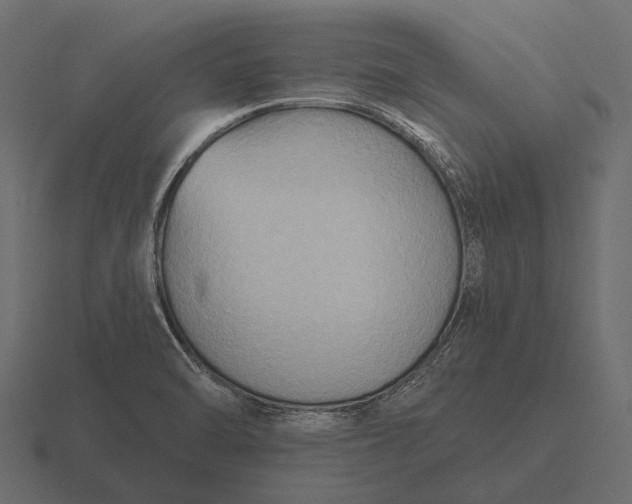 X0000116551470200912241546