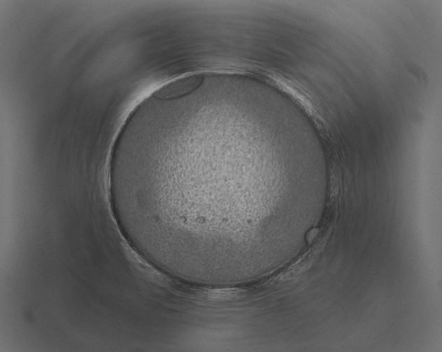 X0000116551471200912241546