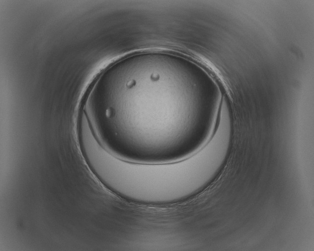 X0000116551472200912241546