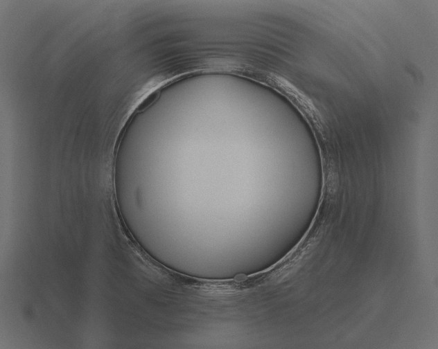 X0000116551473200912241546