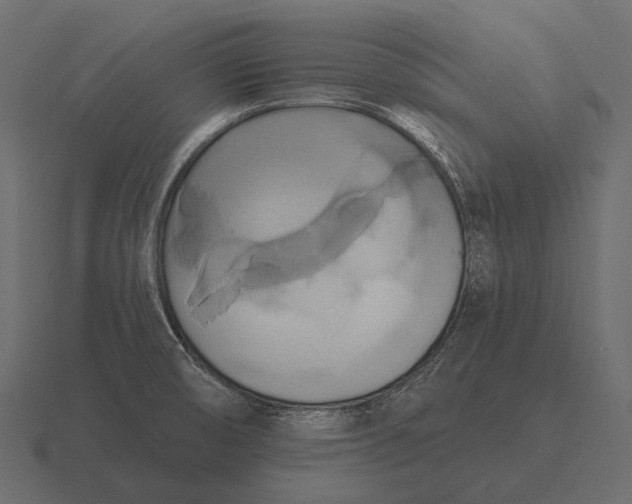 X0000116551474200912241546