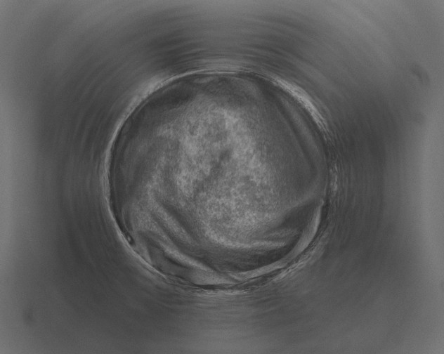 X0000116551475200912241546