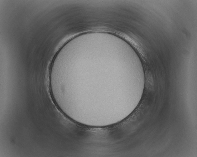 X0000116551478200912241546