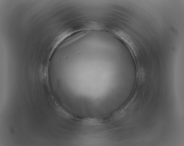 X0000116551481200912241546