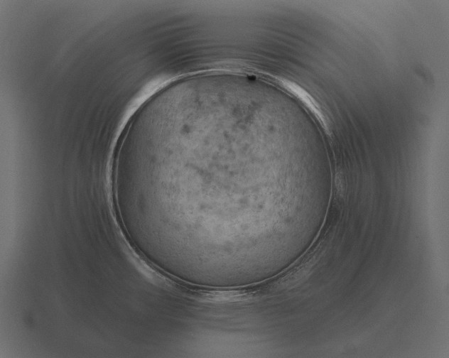 X0000116551482200912241546