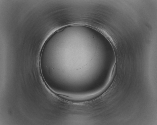 X0000116551484200912241546