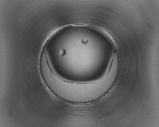 X0000116551485200912241546