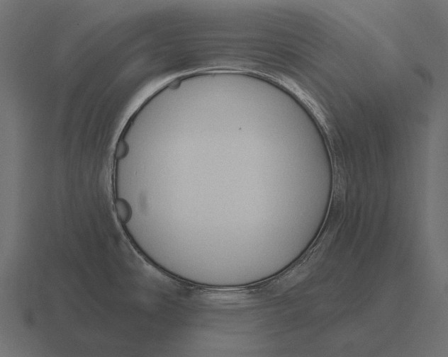 X0000116551486200912241546