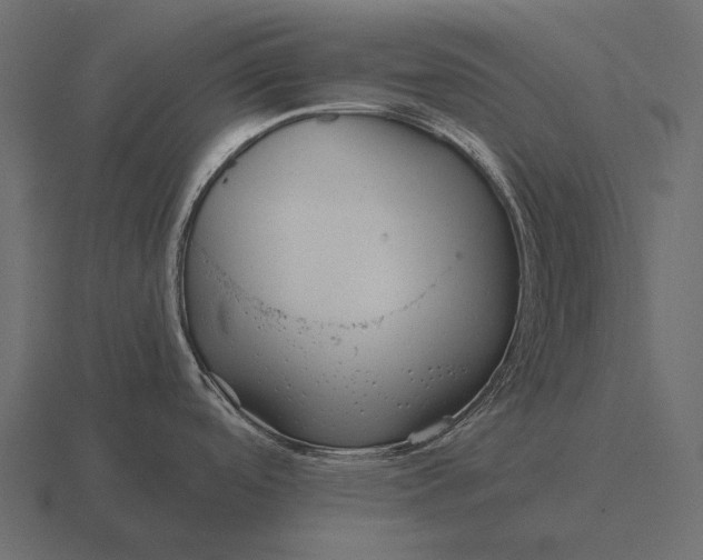 X0000116551488200912241545