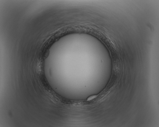 X0000116551490200912241545