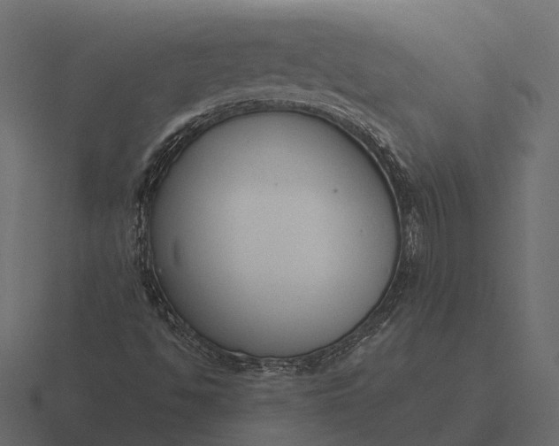 X0000116551494200912241545