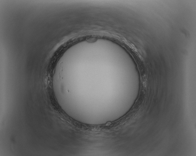 X0000116551495200912241545