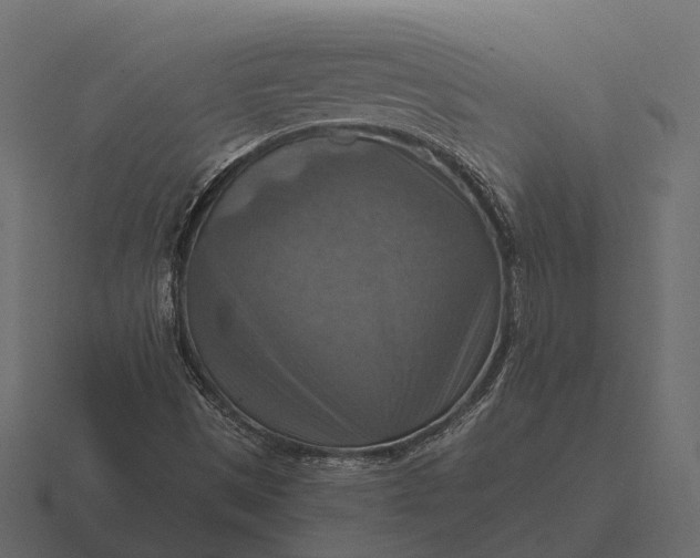 X0000116551497200912241545