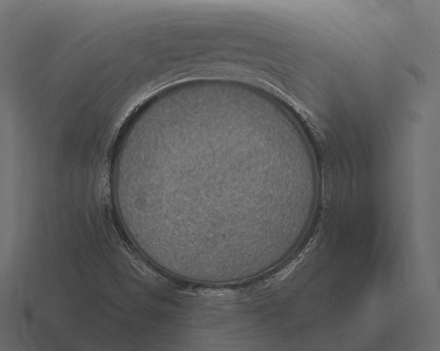 X0000116551498200912241545