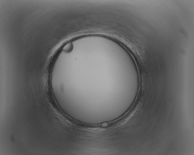 X0000116551502200912241545