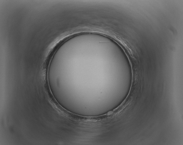 X0000116551503200912241545