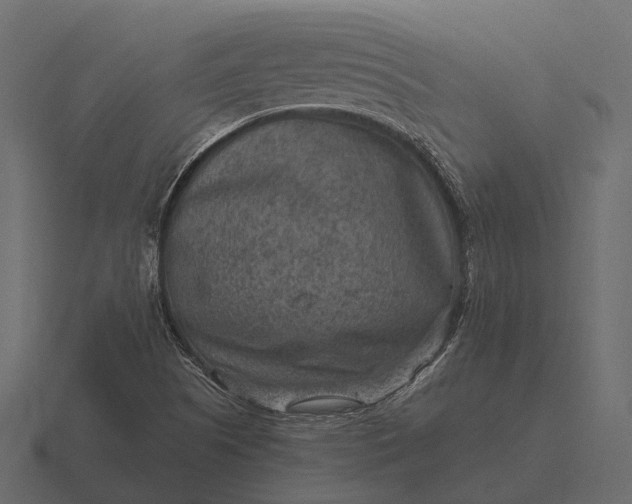 X0000116551505200912241545