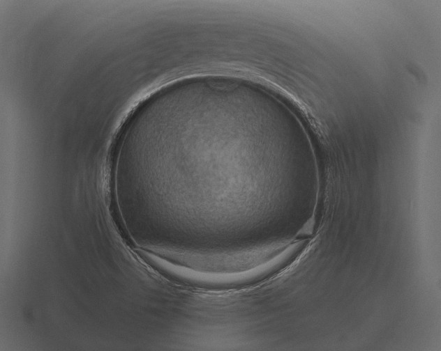 X0000116551506200912241545