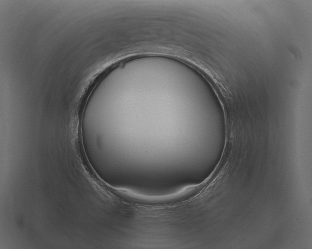 X0000116551507200912241545