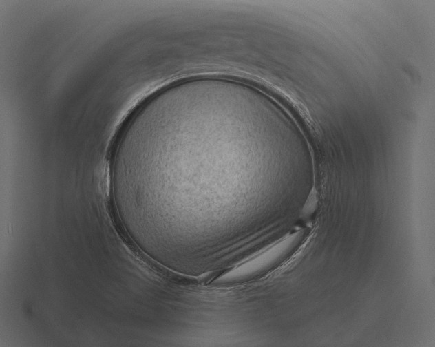 X0000116551509200912241545