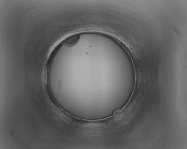 X0000116551510200912241545