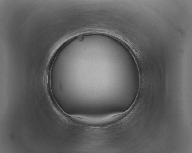 X0000116551511200912241545