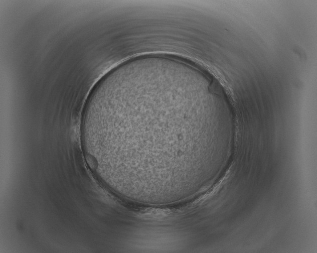 X0000116551513200912241545