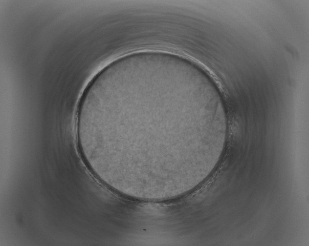 X0000116551514200912241545