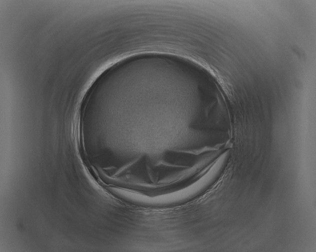 X0000116551515200912241545