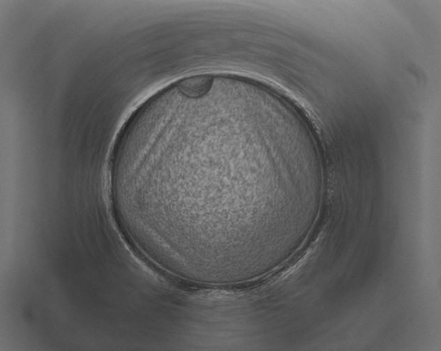 X0000116551517200912241545